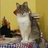 Отзыв от Инга Князева